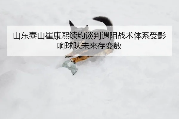 shan-dong-tai-shan-cui-kang-xi-xu-yue-tan-pan-yu-zu-zhan-shu-ti-xi-shou-ying-xiang-qiu-dui-wei-lai-cun-bian-shu-2-905.jpg